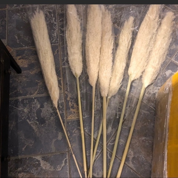 Holographic  vase - Picture 13 of 15